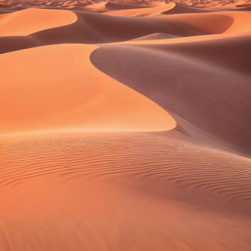 Sahara