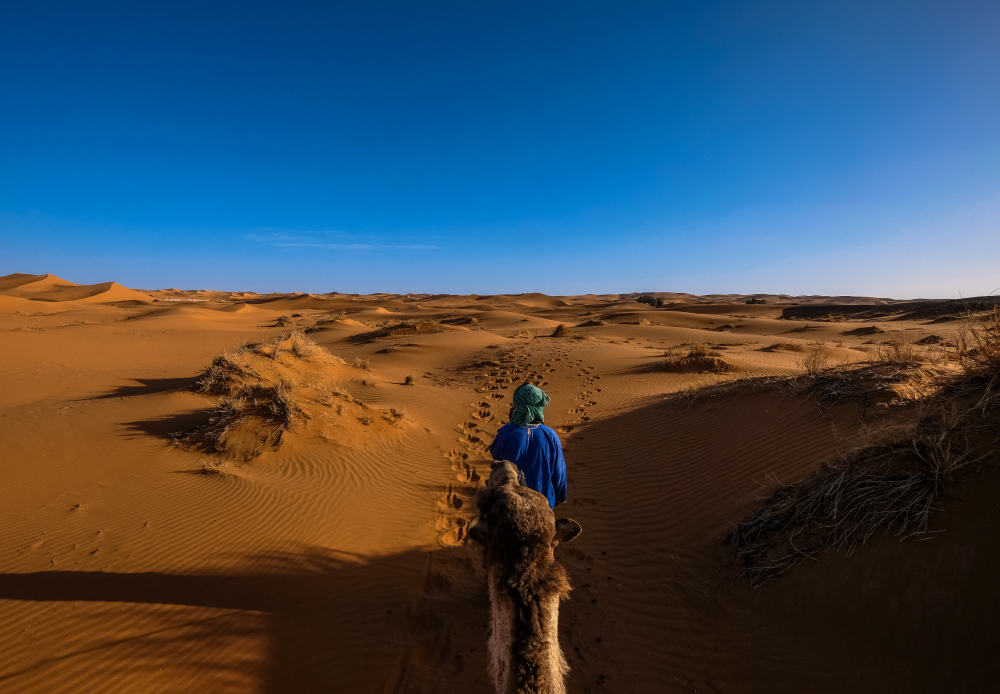 Sahara-Douz-e-le-sue-Dune-tunisie
