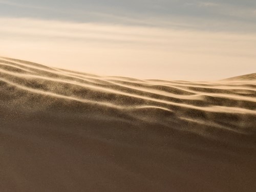 Dunes dans le vent