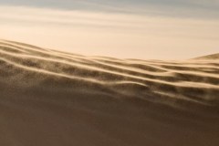 Dunes dans le vent